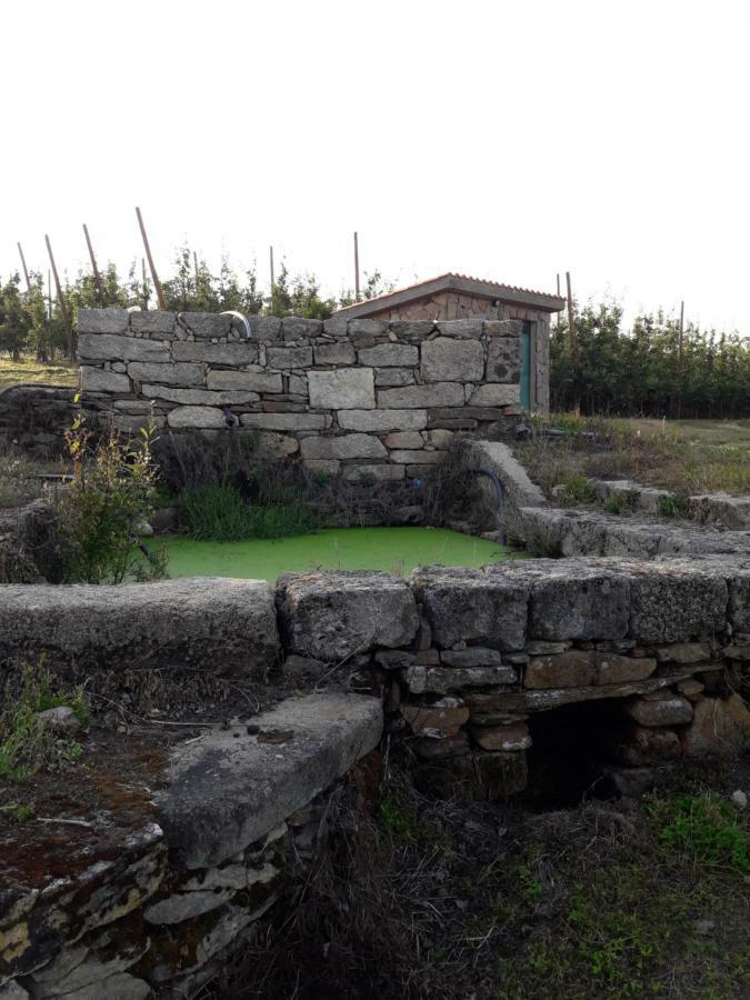 Villa Casa Do Feitor - Douro - Quinta Da Cabrida Sendim  Exterior foto