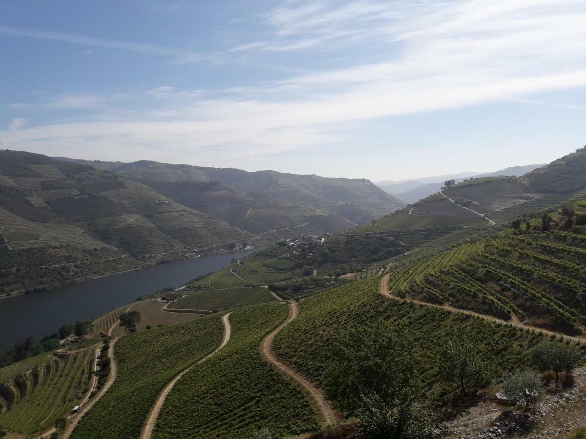 Villa Casa Do Feitor - Douro - Quinta Da Cabrida Sendim  Exterior foto